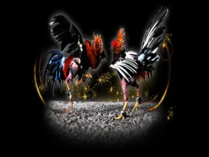 Tuyệt Chiêu Cách Chơi Đá Gà Sabong Tại Asia99 Chuẩn Chuyên Gia