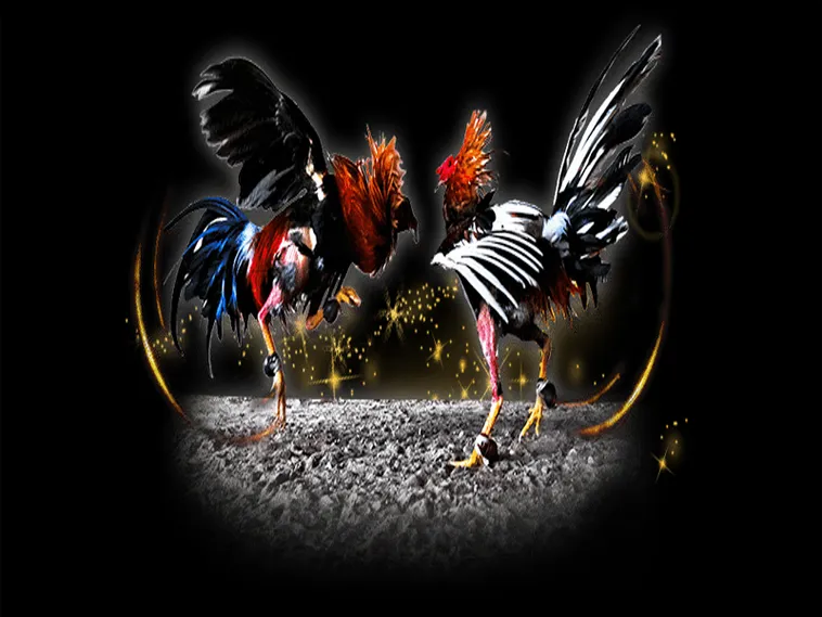 Tuyệt Chiêu Cách Chơi Đá Gà Sabong Tại Asia99 Chuẩn Chuyên Gia