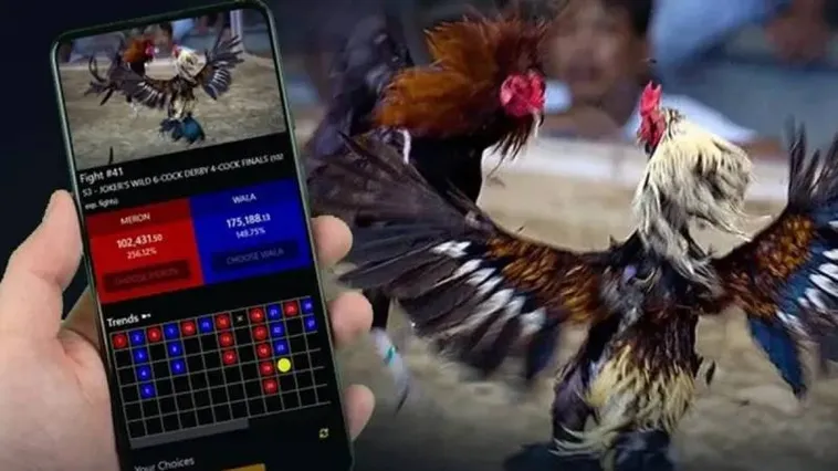 Trải Nghiệm Cá Cược Đá Gà Asia99 Đỉnh Cao Tại Đấu Trường Thomo